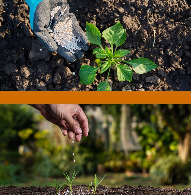 Infinity Landscaping Inc-serv-lawn maintenance (1)
