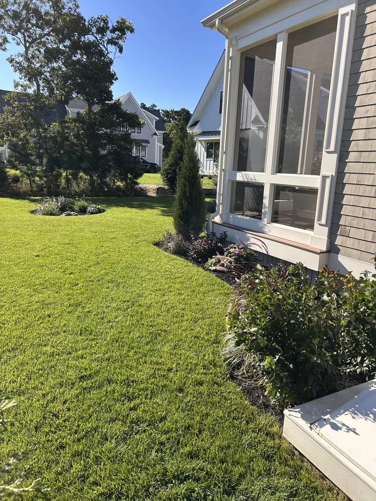 Finished rear lawn and planted borders beside the stone patio