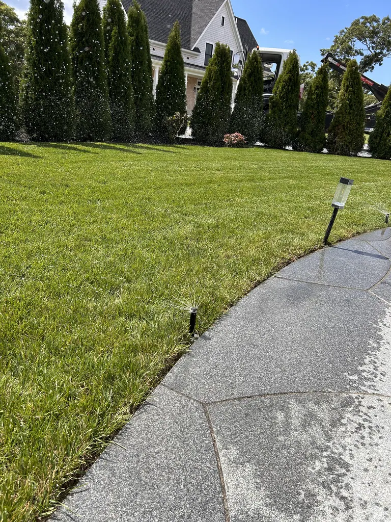 Finished lawn bordered by a continuous evergreen planting bed