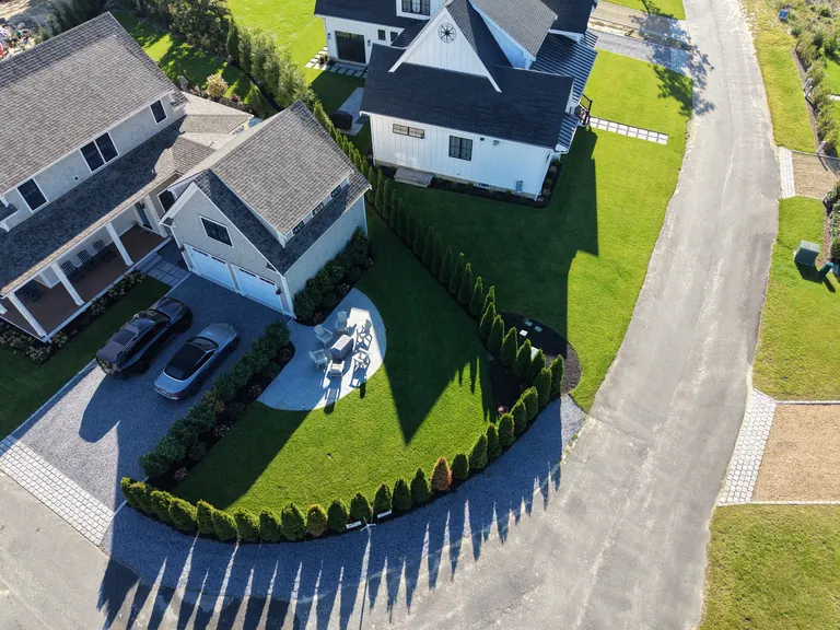 Evergreen privacy planting following the curved property boundary