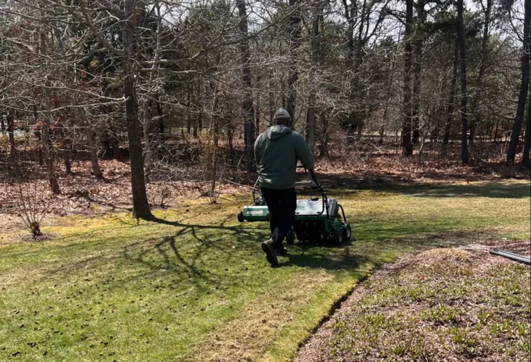 Lawn aeration and overseeding in progress on a Martha's Vineyard property