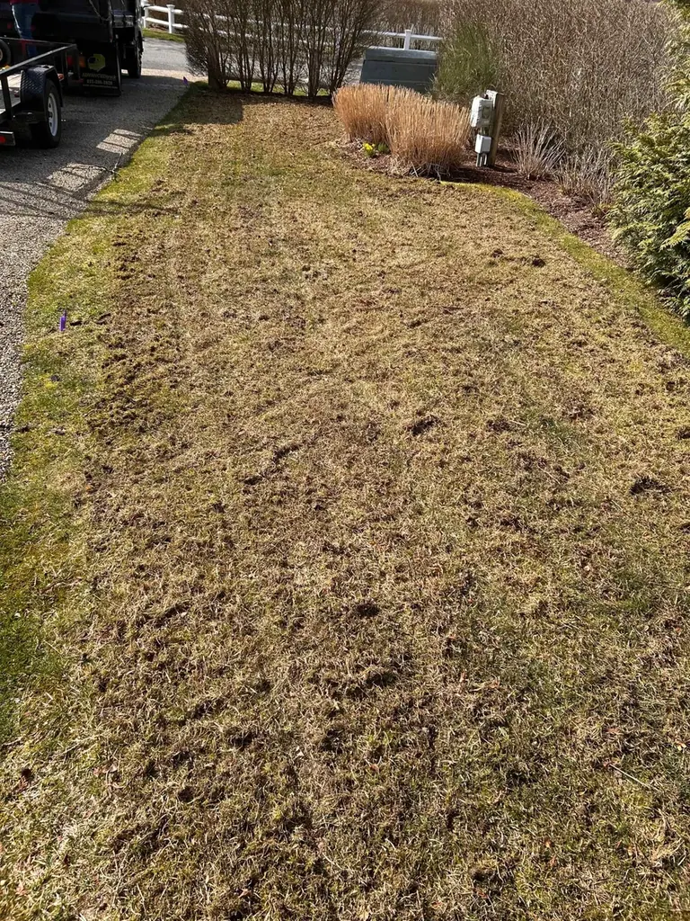 Freshly dethatched lawn on a Martha's Vineyard property