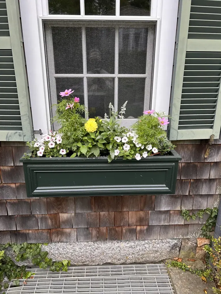 Planted window box with white flowers on a cedar-shingle Martha's Vineyard home