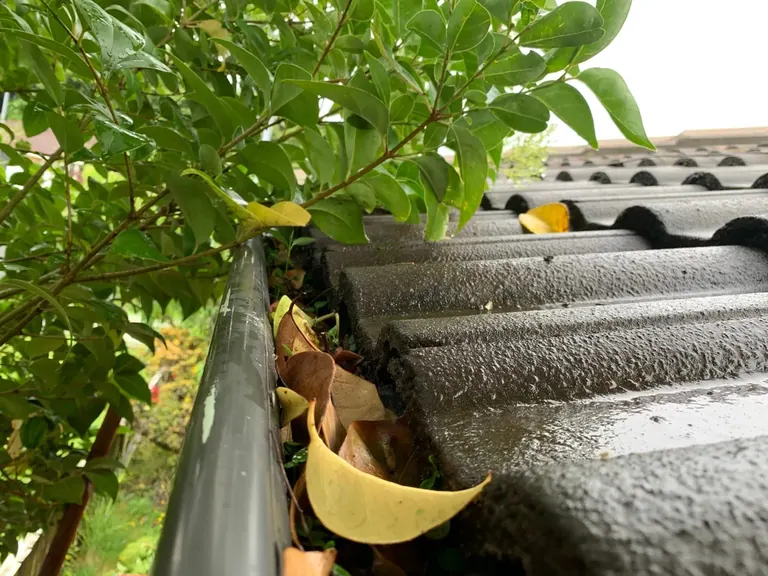 Gutter cleaning on a Martha's Vineyard home