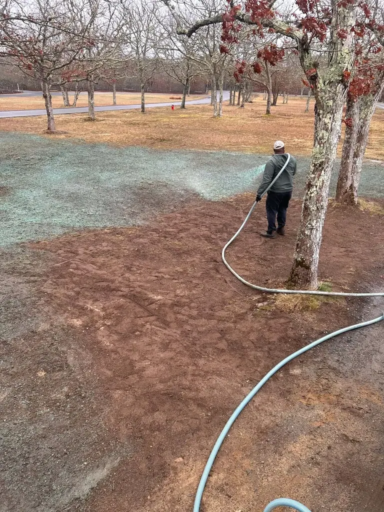Hydroseeding application spraying green slurry across a Martha's Vineyard yard