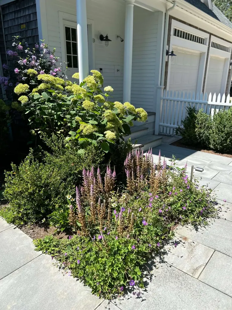 Designed planting of hydrangeas and ornamental grasses by a Martha's Vineyard entrance