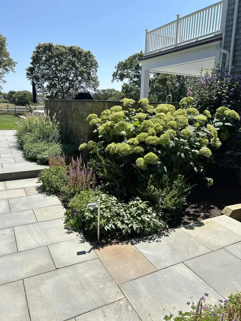 Maintained layered shrub plantings along a bluestone walkway on Martha's Vineyard