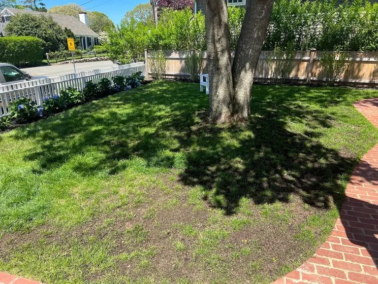 Low-volume irrigation supporting healthy Vineyard planting beds