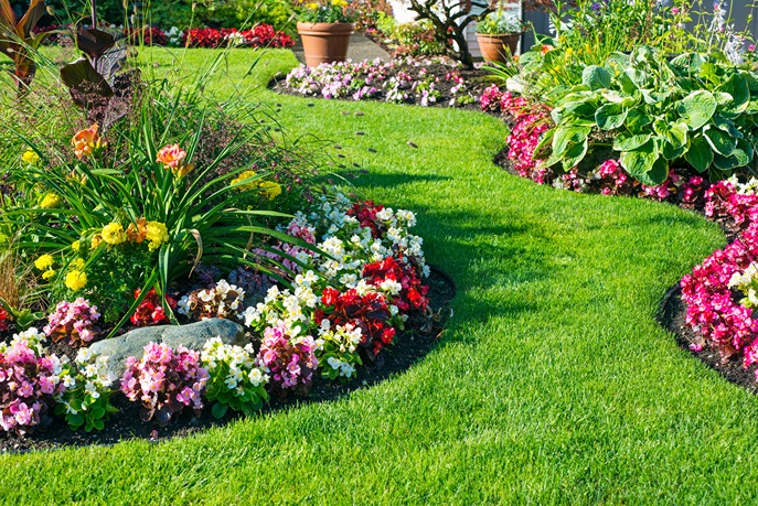 We offer property maintenance, irrigation services, tree service, Pest Control in Softscape Services, Hardscape Services, in MA, USA