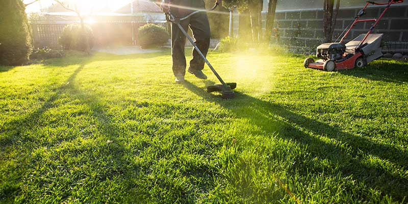 Infinity-Landscaping-Inc.-is-your-trusted-partner-for-lawn-maintenance-in-Martha Infinity Landscaping Inc Is Your Trusted Partner For Lawn Maintenance In Martha