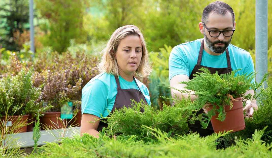 Environmental Benefits of Professional Lawn Care