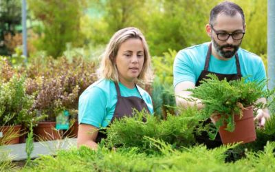 Environmental Benefits of Professional Lawn Care in Edgartown, MA