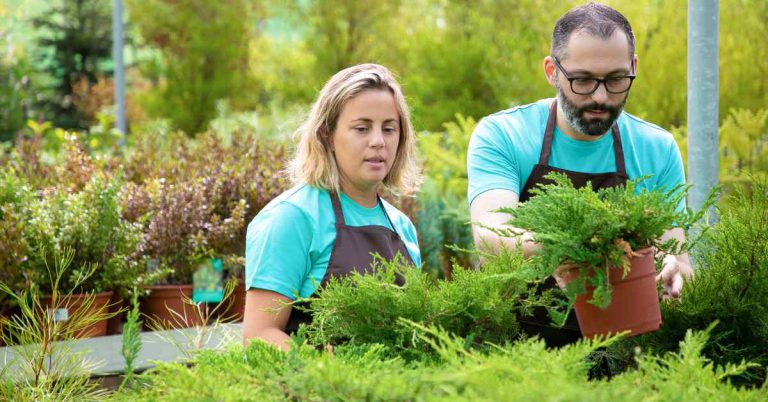 Environmental Benefits of Professional Lawn Care in Edgartown, MA