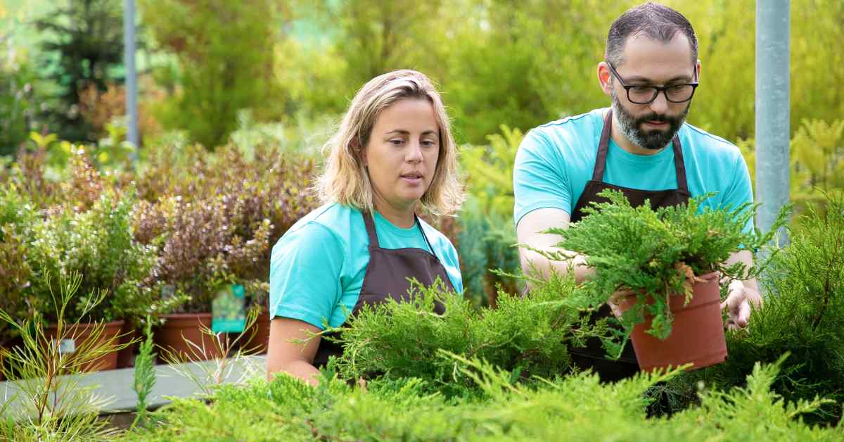 Environmental Benefits of Professional Lawn Care in Edgartown, MA