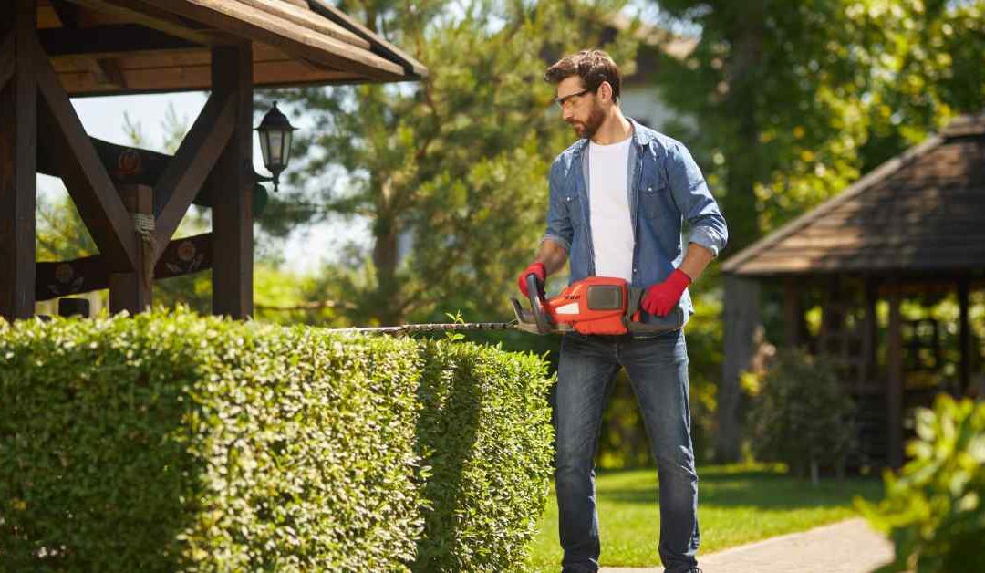 How to Create and Maintain a Perfect Lawn