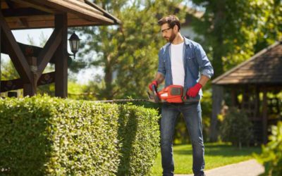 How to Create and Maintain a Perfect Lawn