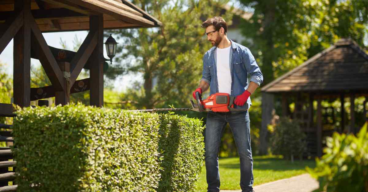 How to Create and Maintain a Perfect Lawn