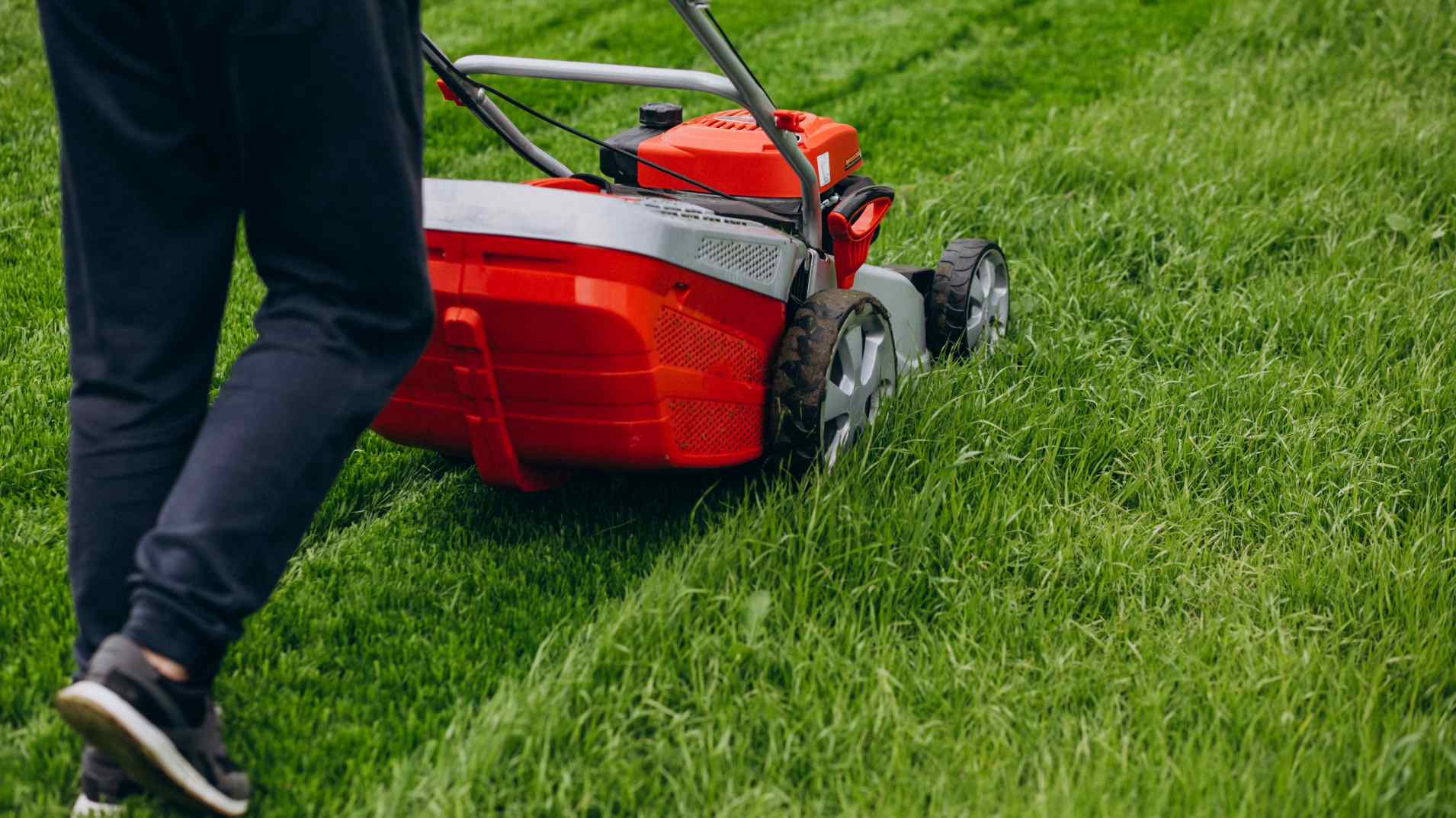 Lawn Care & Maintenance Service in Oak Bluffs