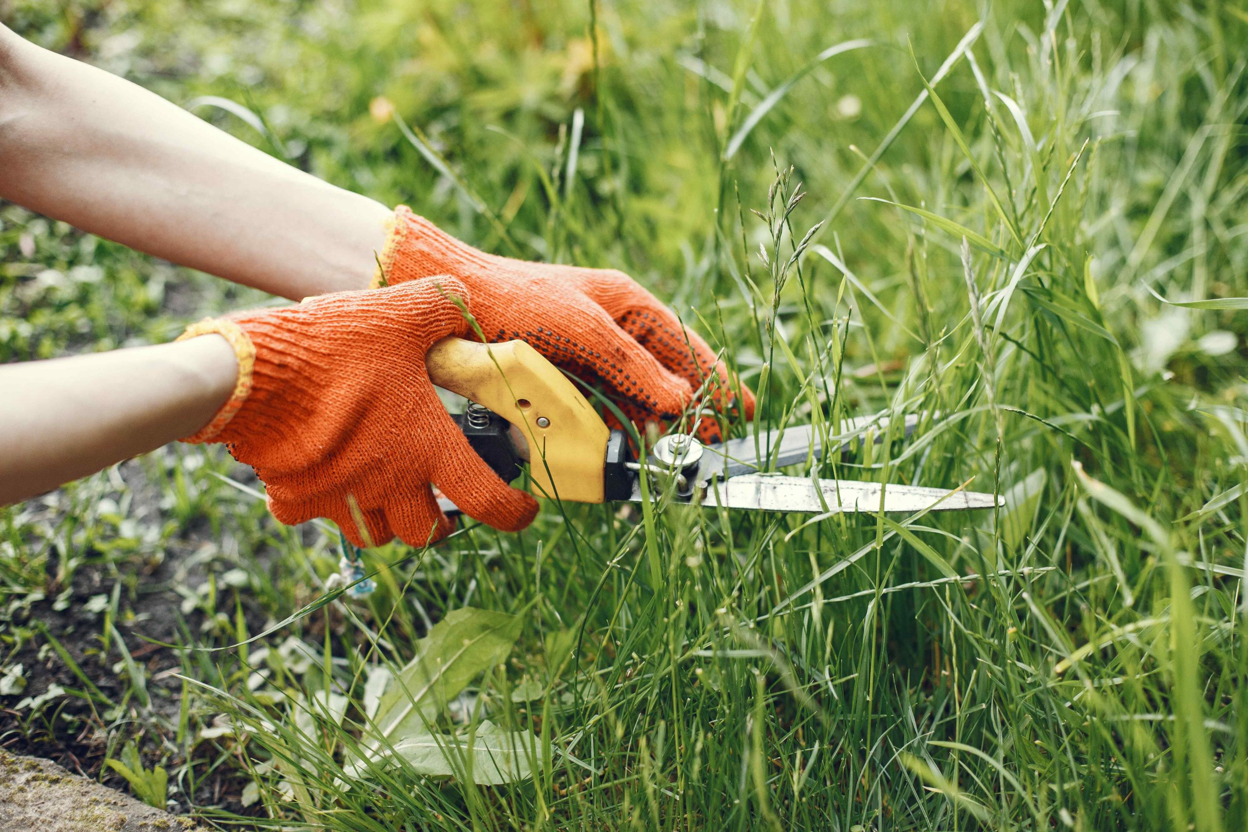 Lawn Care & Maintenance in Vineyard Haven