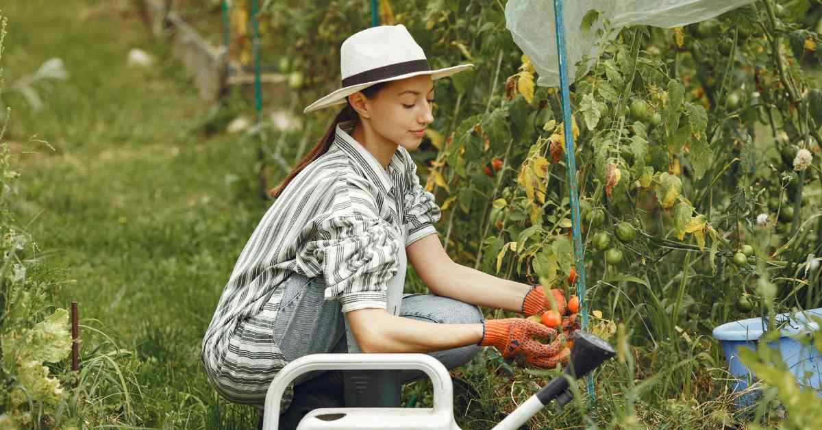 The Ultimate Guide to Eco-Friendly Lawn Care on Martha’s Vineyard