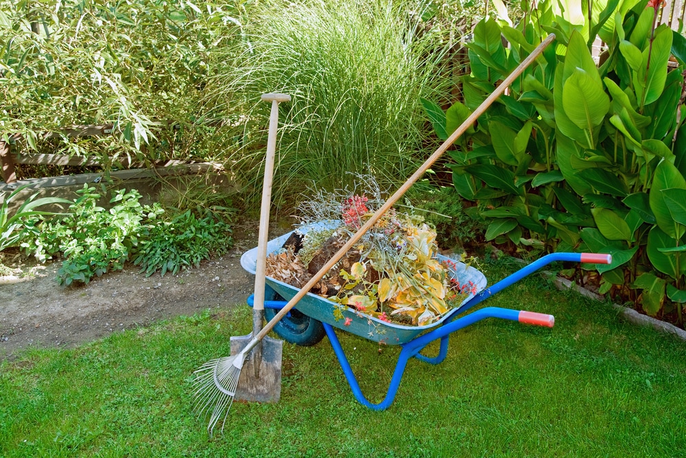 Spring Cleanup