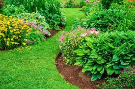 Plant Bed Maintenance