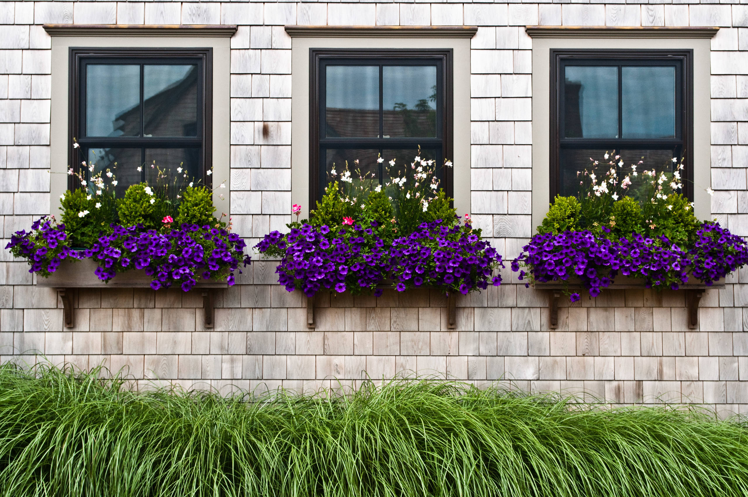 Window Boxes