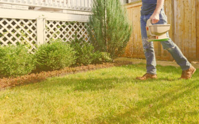 Best Irrigation Systems for Edgartown Lawns and Plant Beds