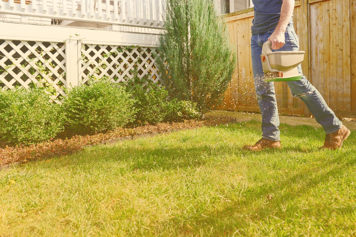 Best Irrigation Systems for Edgartown Lawns and Plant Beds