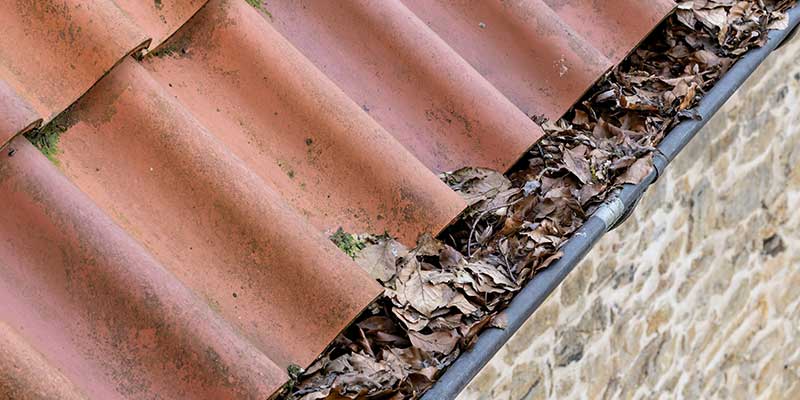Gutter Cleaning