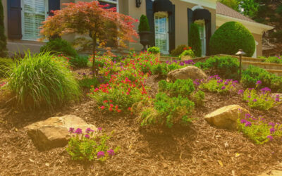 Dethatching Services for Edgartown Lawns: When and Why It’s Needed