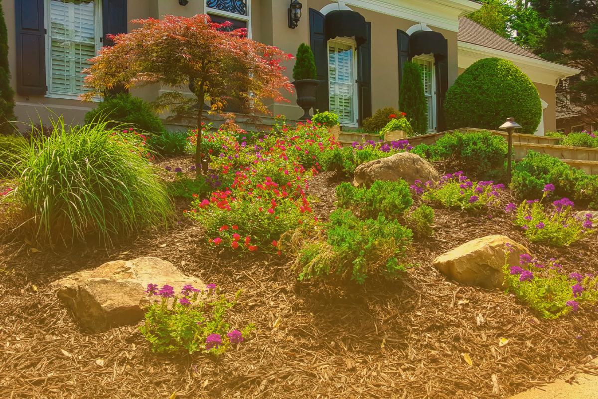 Dethatching Services for Edgartown Lawns: When and Why It’s Needed