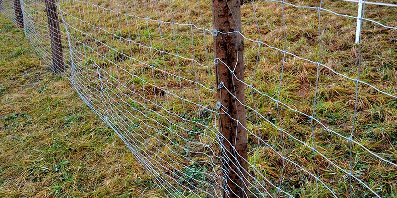 Deer/Fencing Repellent