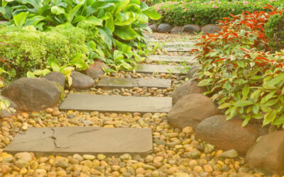 Fresh Sod Installation in Edgartown: A Quick Guide for Homeowners