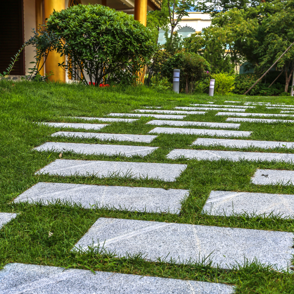 Martha's Vineyard Lawn Service
