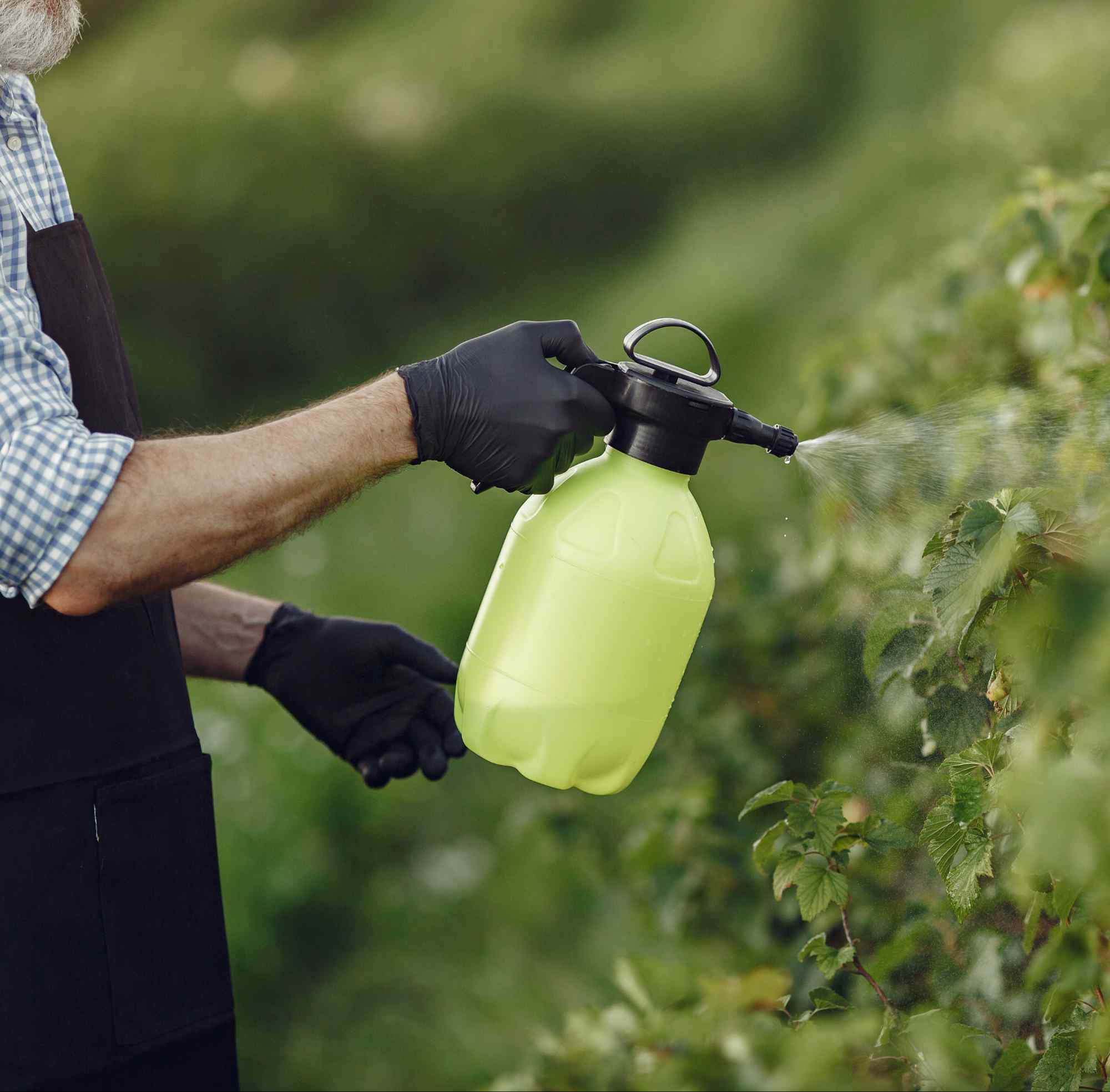 Weed Control Service Weed Control Service