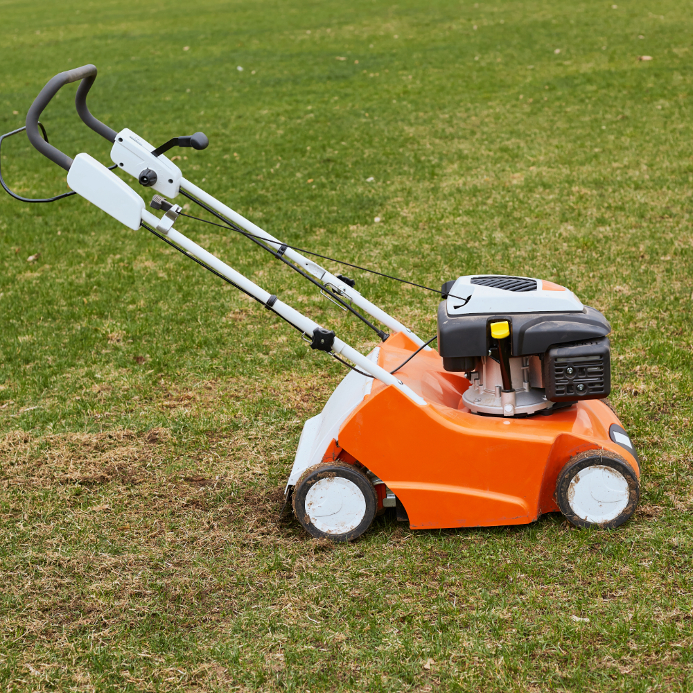 best dethatching service provider