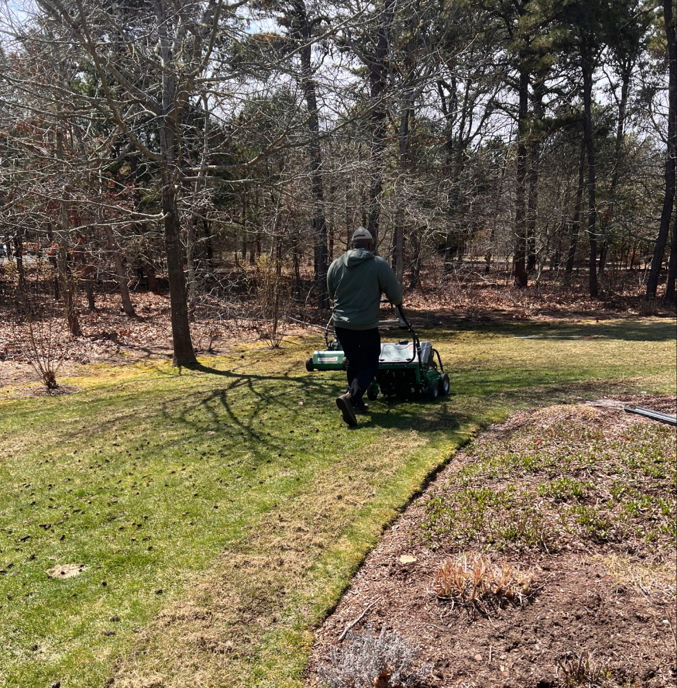 dethatching services Martha's Vineyard