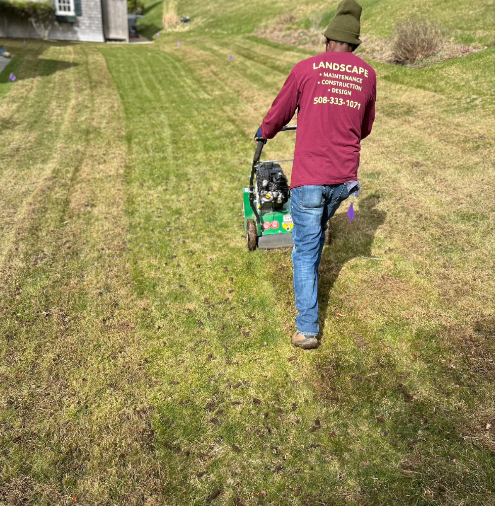 lawn dethatching services