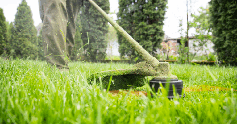 Aquinnah Seasonal Lawn Care: What Every Homeowner Should Know