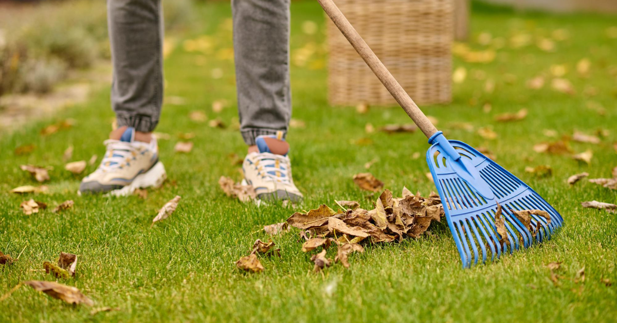 Edgartown Spring Cleanup Checklist a for Healthy, Beautiful Lawn