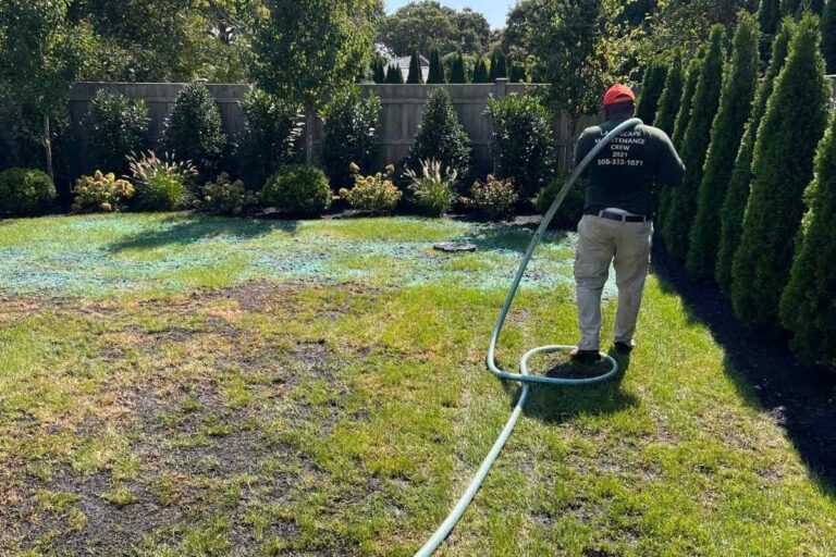Vineyard Haven Leaf Removal and Fall Lawn Prep