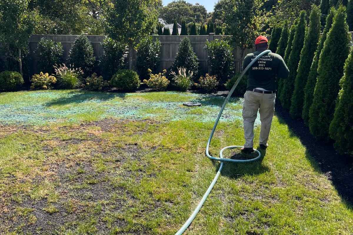 Vineyard Haven Leaf Removal and Fall Lawn Prep