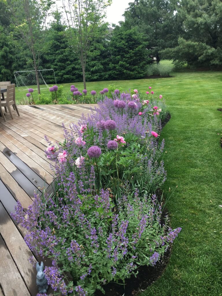 Spring cleanup of garden beds with fresh edging on a Martha’s Vineyard property