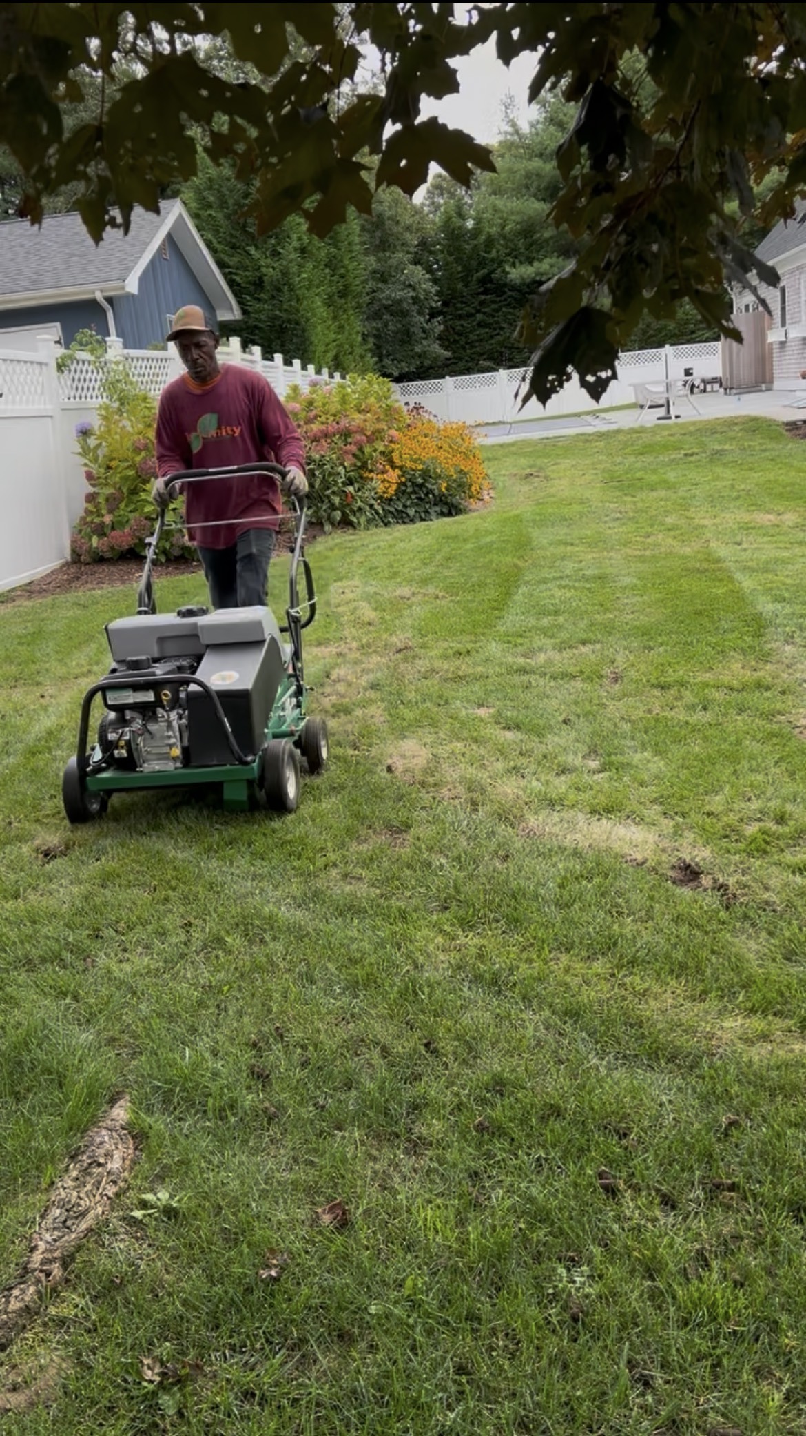 Lawn aeration restoring compacted high-traffic turf on Martha’s Vineyard