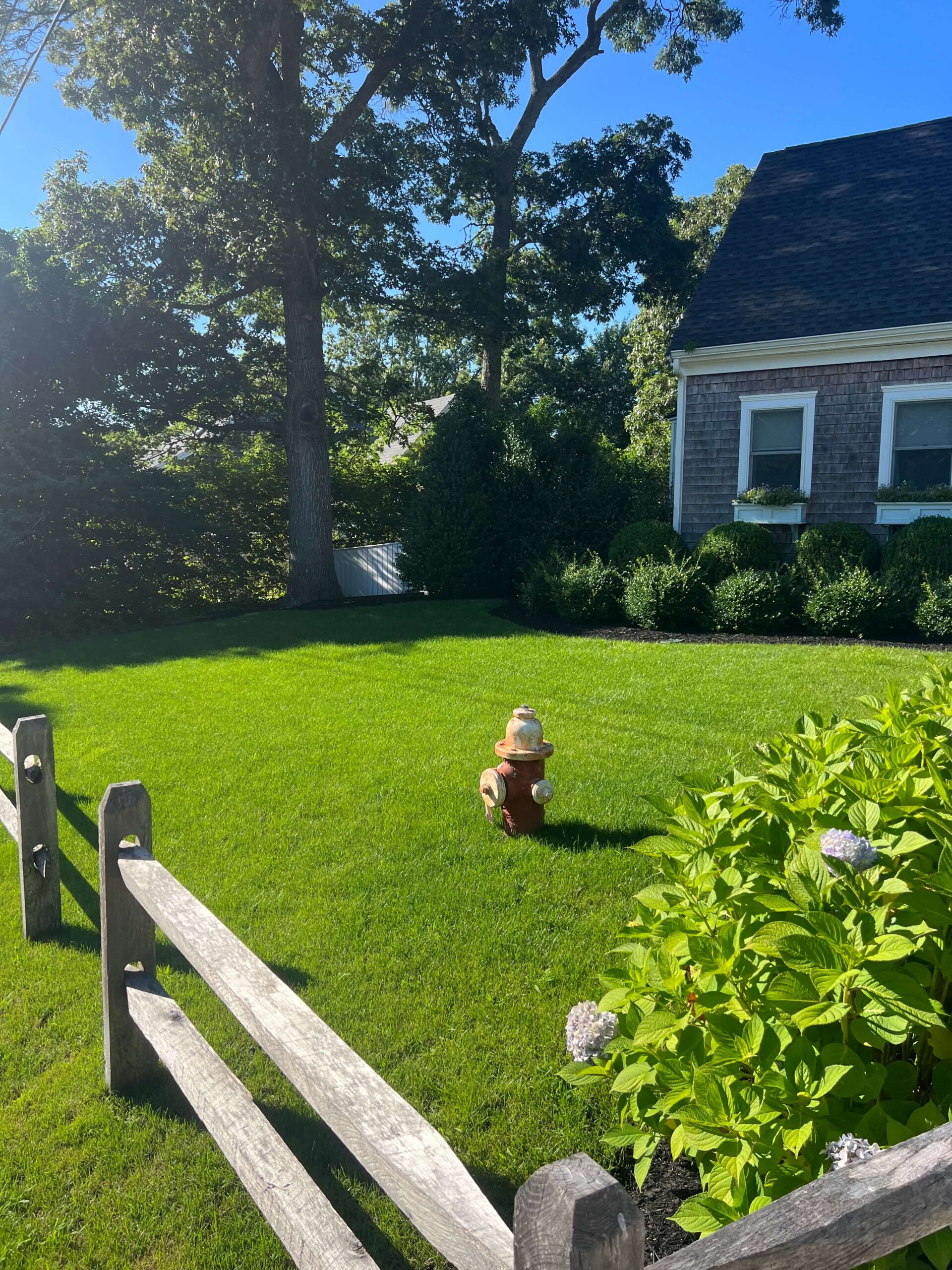 Street-facing view of a professionally mowed lawn on Martha’s Vineyard