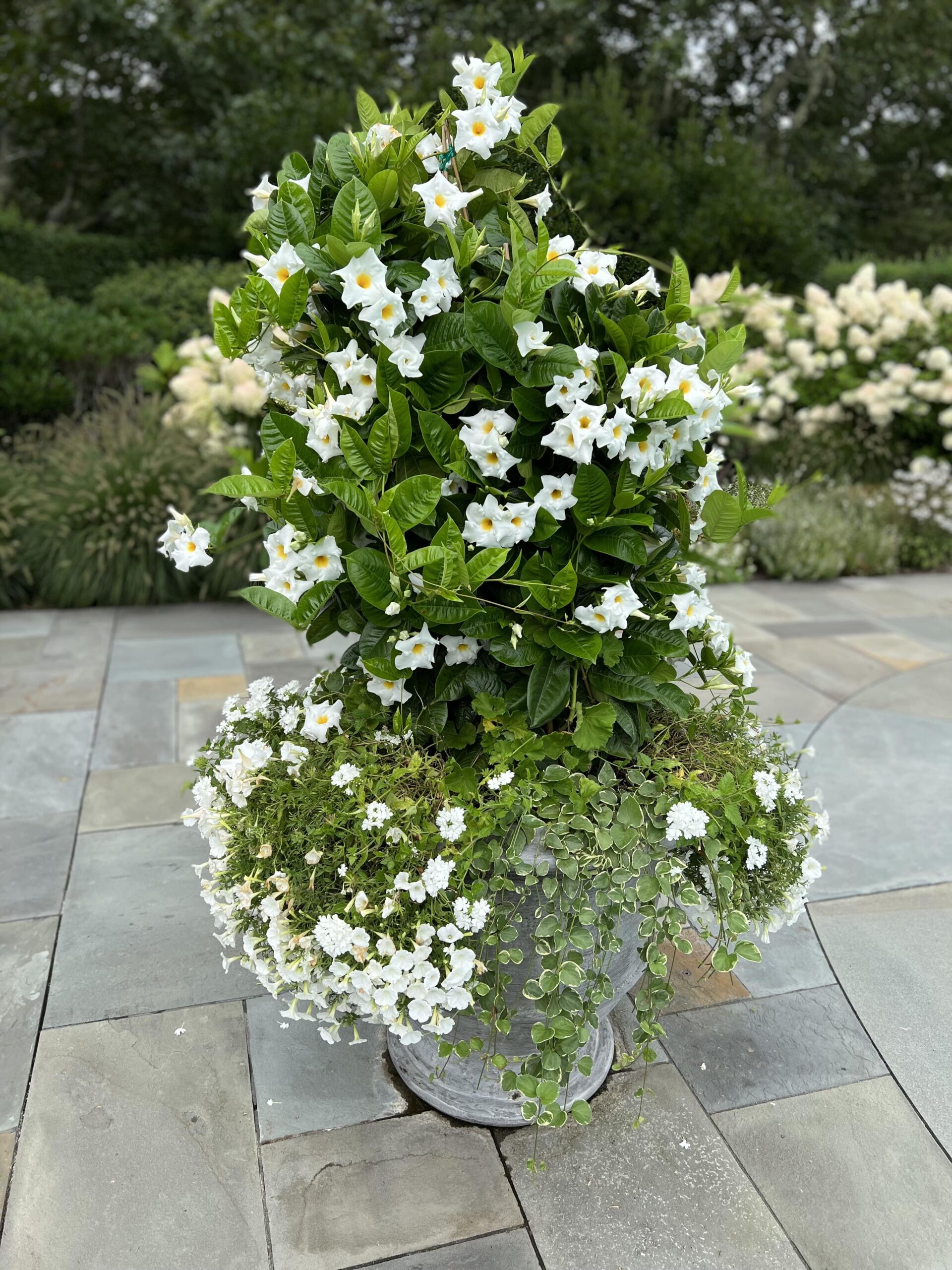 Commercial flower pot installation with professionally planted containers at a Martha’s Vineyard property
