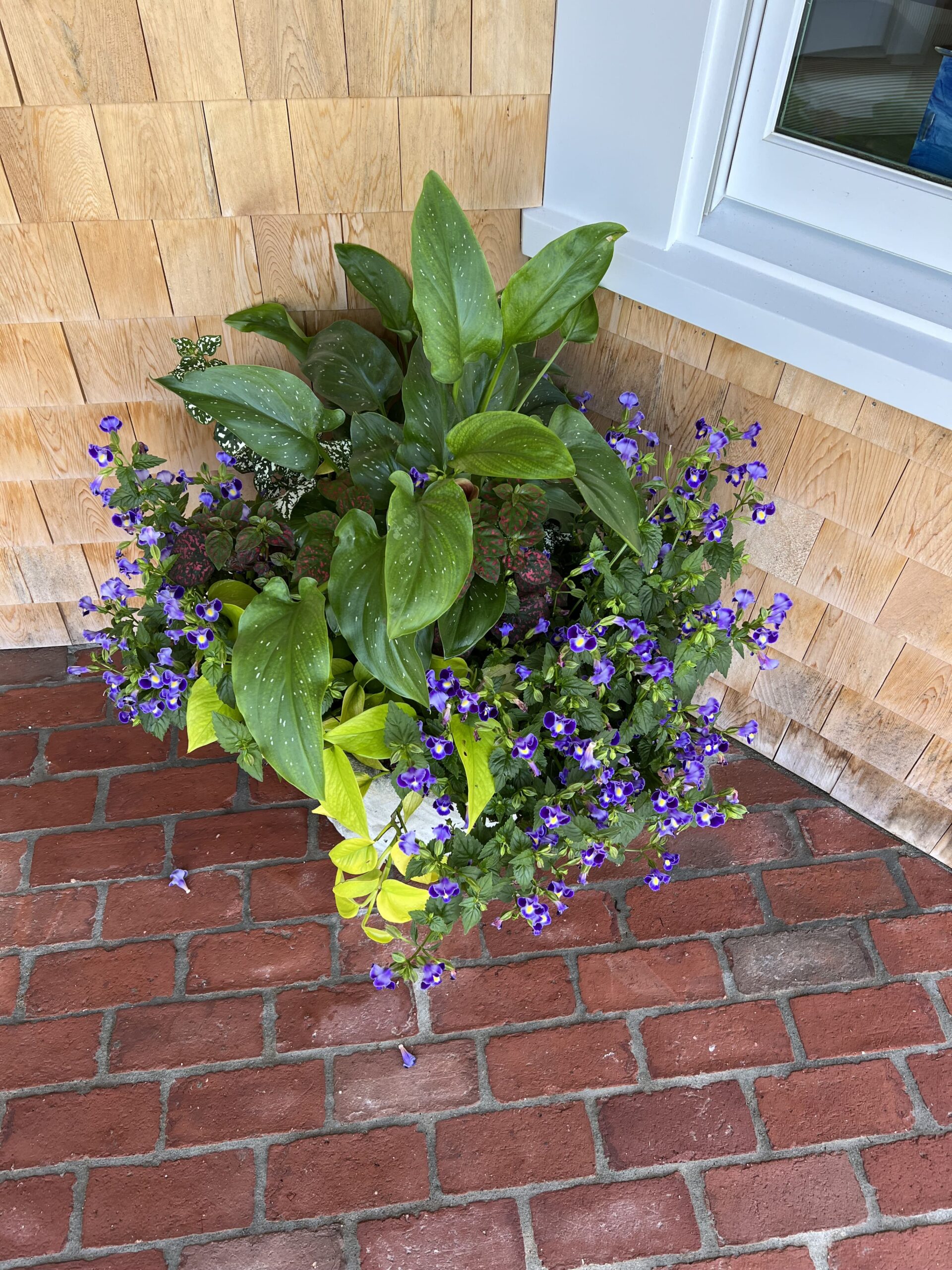 Custom flower pot installation along a walkway with professionally planted containers on Martha’s Vineyard