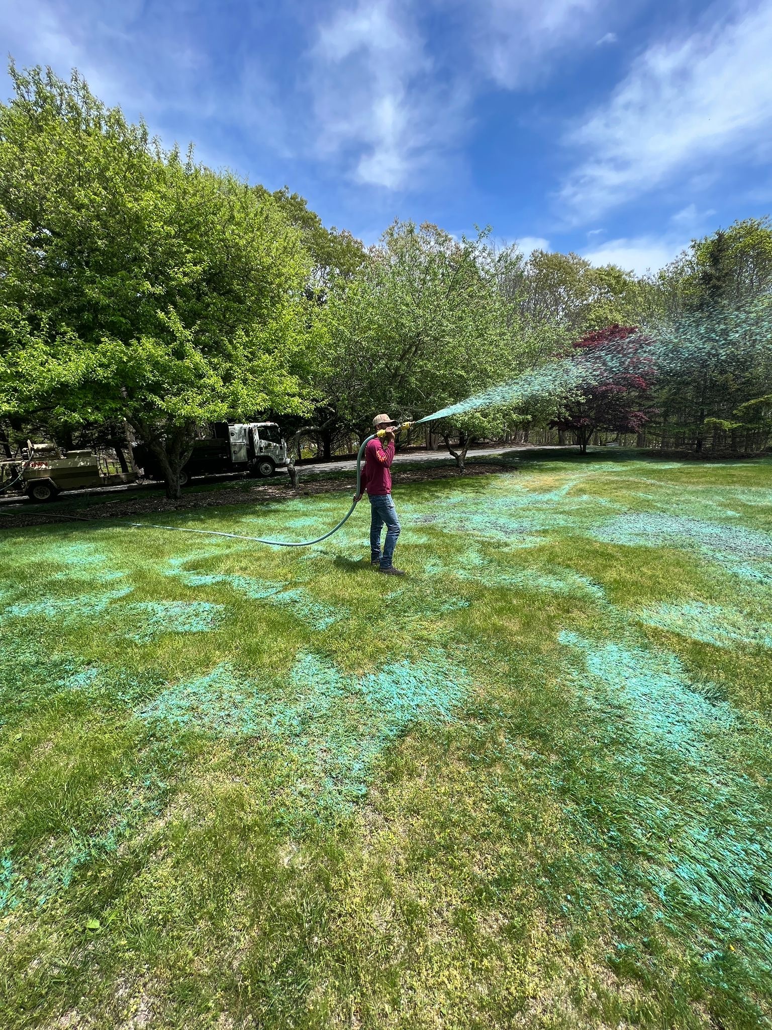 Hydroseeding applied after lawn aeration to improve seed-to-soil contact on Martha’s Vineyard