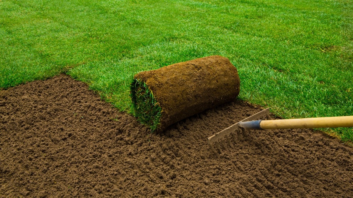The Step-by-Step Guide to Successful SOD Installation
